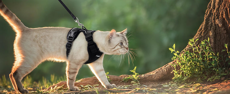 Arnês e Guia para Gatos para Caminhar, Colete Ajustável à Prova de Fuga para Gatos, facil controle